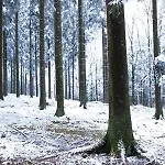 Semesterbostad Au Bois Colin