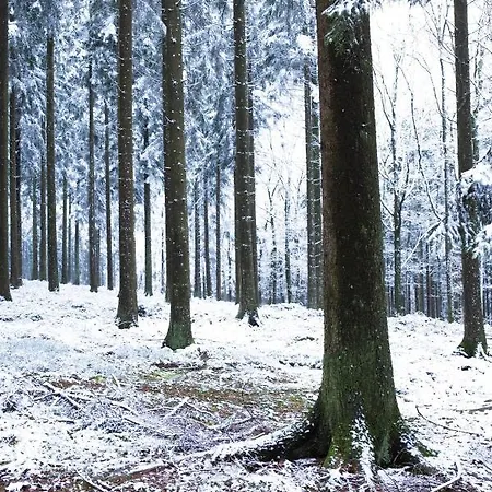 Semesterbostad Au Bois Colin
